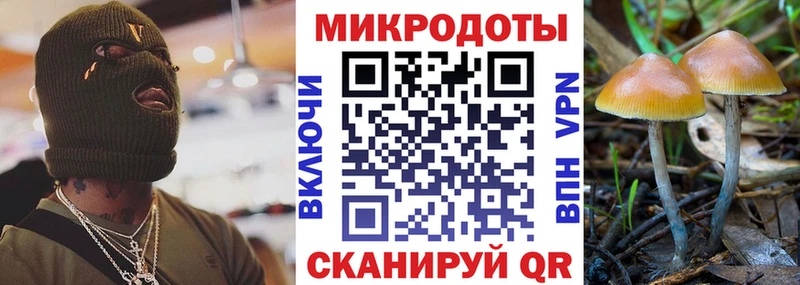 Псилоцибиновые грибы Psilocybine cubensis  площадка наркотические препараты  Саки 